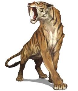Rating: Safe Score: 0 Tags: 4_toes ambiguous_gender brown_body brown_fur e621 fangs feet felid feral front_view fur g.river ham-on looking_aside mammal open_mouth orange_body orange_fur pantherine prehistoric_species quadruped realistic_feral saber-toothed_tiger simple_background solo stripes tail teeth tiger toes whiskers white_background white_body white_fur yellow_eyes User: bunchy7s