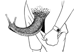 Rating: Explicit Score: 0 Tags: ambiguous_gender bottomwear clock clothed clothing e621 gastropod genitals grasp human male mammal mollusk monochrome partially_clothed penis shorts simple_background slug solo standing unknown_artist unusual_anatomy unusual_genitalia unusual_penis watch what what_has_science_done white_background User: bunchy7s Rating: Explicit Score: 0 Tags: ambiguous_gender bottomwear clock clothed clothing e621 gastropod genitals grasp human male mammal mollusk monochrome partially_clothed penis shorts simple_background slug solo standing unknown_artist unusual_anatomy unusual_genitalia unusual_penis watch what what_has_science_done white_background User: bunchy7s