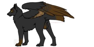 Rating: Explicit Score: 0 Tags: 2:1 balls canid canine canis e621 feathered_wings feathers feral genitals green_eyes hi_res hybrid kintari male mammal nude quadruped solo tail toradoshi wings wolf User: bunchy7s