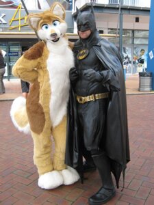 Rating: Safe Score: 0 Tags: 2009 anthro bat_symbol batman batman_(series) blue_eyes bulge canid canine canis clothing cosplay costume dc_comics dingo domestic_dog duo e621 female fursuit grandfathered_content male mammal mask outside pose rarakie rarakie_(character) real serious smile standing tail wolf User: bunchy7s