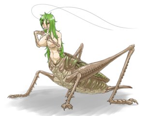 Rating: Explicit Score: 0 Tags: 5:4 antennae_(anatomy) arthropod arthropod_abdomen arthropod_taur big_breasts bodily_fluids breasts brown_body brown_exoskeleton brown_eyes claws compound_eyes cricket cum cum_on_breasts cum_on_face e621 exoskeleton female frontal_taur_genitals frontal_taur_vulva genital_fluids genitals green_body green_exoskeleton green_hair hair humanoid_taur insect insect_taur kaiki_hito_ningen light_body light_skin multi_leg multi_limb multicolored_body multicolored_exoskeleton nipples nude orthopterid quadruped simple_background solo tan_body tan_skin tan_vulva taur teeth two_tone_body two_tone_exoskeleton vulva white_background User: bunchy7s