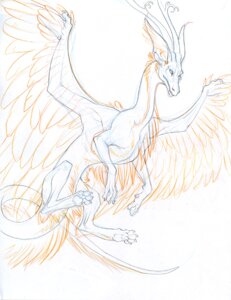 Rating: Safe Score: 0 Tags: dragon e621 feathered_wings feathers feral flying hibbary hibbary_(character) male mythological_creature mythological_scalie mythology scalie simple_background sketch solo tail unfinished white_background wings User: bunchy7s