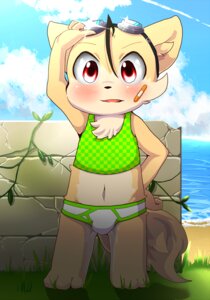 Rating: Questionable Score: 0 Tags: anthro bandage beach big_ears big_eyes blush briefs bulge checkered checkered_clothing checkered_shirt checkered_tank_top checkered_topwear chest_tuft clothed clothing colored_seam_underwear detailed_background e621 eyewear fur goggles grass green_seam_briefs green_seam_underwear kemono male outside pattern_clothing pattern_shirt pattern_topwear plant raizinndx sand sea seaside shirt sky solo tail topwear tuft undershirt underwear underwear_only vines water white_briefs white_clothing white_underwear young young_anthro young_male User: bunchy7s