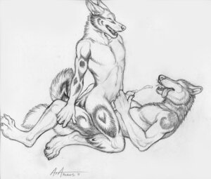 Rating: Explicit Score: 0 Tags: 2011 anal anal_penetration anthro bodily_fluids canid canine cowgirl_position cum cum_in_mouth cum_inside duo e621 erection eyes_closed from_front_position genital_fluids genitals greyscale lying male male/male male_on_bottom male_on_top male_penetrated male_penetrating male_penetrating_male mammal monochrome nude on_back on_bottom on_top penetration penis rukis sex simple_background sketch straddling tail white_background User: bunchy7s Rating: Explicit Score: 0 Tags: 2011 anal anal_penetration anthro bodily_fluids canid canine cowgirl_position cum cum_in_mouth cum_inside duo e621 erection eyes_closed from_front_position genital_fluids genitals greyscale lying male male/male male_on_bottom male_on_top male_penetrated male_penetrating male_penetrating_male mammal monochrome nude on_back on_bottom on_top penetration penis rukis sex simple_background sketch straddling tail white_background User: bunchy7s