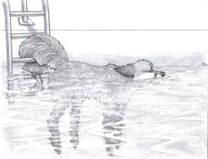 Rating: Safe Score: 0 Tags: 2012 ambiguous_gender canid canine detailed detailed_background e621 feral fox graphite_(artwork) greyscale mammal monochrome quadruped sabretoothed_ermine sketch solo swimming_pool tail toony traditional_media_(artwork) water wet User: bunchy7s Rating: Safe Score: 0 Tags: 2012 ambiguous_gender canid canine detailed detailed_background e621 feral fox graphite_(artwork) greyscale mammal monochrome quadruped sabretoothed_ermine sketch solo swimming_pool tail toony traditional_media_(artwork) water wet User: bunchy7s