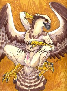 Rating: Explicit Score: 0 Tags: 2009 accipitriform anthro avian biped bird caribou_(artist) e621 erection feathered_wings feathers genitals looking_at_viewer lying male osprey penis solo wings User: bunchy7s