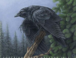 Rating: Safe Score: 0 Tags: 2011 ambiguous_gender avian beak bird black_body black_feathers corvid corvus_(genus) crow dark_natasha detailed detailed_background e621 feathered_wings feathers feral forest oscine outside passerine plant raven realistic rictal_bristles signature sky solo tree wings User: bunchy7s Rating: Safe Score: 0 Tags: 2011 ambiguous_gender avian beak bird black_body black_feathers corvid corvus_(genus) crow dark_natasha detailed detailed_background e621 feathered_wings feathers feral forest oscine outside passerine plant raven realistic rictal_bristles signature sky solo tree wings User: bunchy7s
