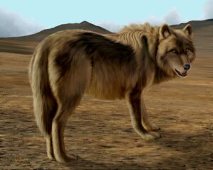Rating: Safe Score: 0 Tags: 5:4 amber_eyes ambiguous_gender black_nose brown_body brown_fur canid canine canis cloud detailed_background digitigrade e621 ebon_lupus feral fur looking_at_viewer mammal mountain open_mouth outside quadruped sky solo tail wolf User: bunchy7s Rating: Safe Score: 0 Tags: 5:4 amber_eyes ambiguous_gender black_nose brown_body brown_fur canid canine canis cloud detailed_background digitigrade e621 ebon_lupus feral fur looking_at_viewer mammal mountain open_mouth outside quadruped sky solo tail wolf User: bunchy7s