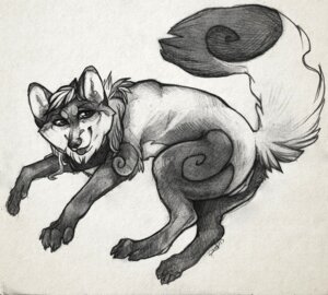 Rating: Explicit Score: 0 Tags: 2013 anatomically_correct anatomically_correct_genitalia anatomically_correct_vulva animal_genitalia animal_vulva canid canine canine_genitalia canine_vulva e621 female feral fox genitals mammal sketch solo vulva zodthezen User: bunchy7s