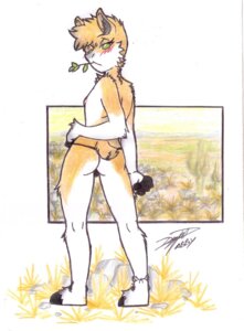 Rating: Questionable Score: 0 Tags: anthro biped blush butt camelid e621 farmer fur green_eyes hi_res looking_back male mammal parasitedeath solo standing traditional_media_(artwork) vicuna User: bunchy7s
