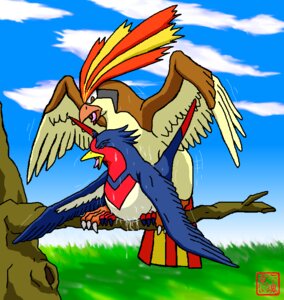 Rating: Explicit Score: 0 Tags: avian bird dragon_soul_e female feral feral_on_feral nintendo pidgeot pok&eacute;mon_(species) pokemon pokemon_(species) rule34 swellow tagme User: bunchy7s