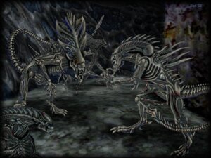 Rating: Explicit Score: 0 Tags: 1girls 2002 20th_century_fox 2d alien_(franchise) female female_xenomorph inner_mouth male male_xenomorph no_humans pussy rule34 slof tagme xenomorph xenomorph_queen xenomorph_tail User: bunchy7s Rating: Explicit Score: 0 Tags: 1girls 2002 20th_century_fox 2d alien_(franchise) female female_xenomorph inner_mouth male male_xenomorph no_humans pussy rule34 slof tagme xenomorph xenomorph_queen xenomorph_tail User: bunchy7s