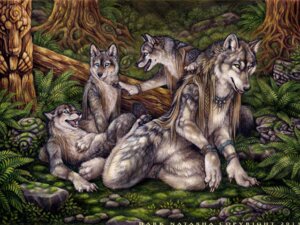 Rating: Safe Score: 0 Tags: 2013 4:3 anklet anthro black_body black_fur blue_eyes bracelet braided_hair brown_eyes canid canine canis carving claws dark_natasha detailed_background e621 eye_contact feet female fur grass group hair hindpaw jewelry leaf long_hair looking_at_another looking_at_viewer male mammal moss mythological_canine mythological_creature mythology nature necklace nude outside pawpads paws plant rock signature teeth toe_claws tree werecanid werecanine werecreature werewolf werewolf_calendar white_body white_fur wolf yellow_eyes young young_anthro User: bunchy7s Rating: Safe Score: 0 Tags: 2013 4:3 anklet anthro black_body black_fur blue_eyes bracelet braided_hair brown_eyes canid canine canis carving claws dark_natasha detailed_background e621 eye_contact feet female fur grass group hair hindpaw jewelry leaf long_hair looking_at_another looking_at_viewer male mammal moss mythological_canine mythological_creature mythology nature necklace nude outside pawpads paws plant rock signature teeth toe_claws tree werecanid werecanine werecreature werewolf werewolf_calendar white_body white_fur wolf yellow_eyes young young_anthro User: bunchy7s