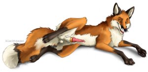 Rating: Explicit Score: 0 Tags: 2008 accessory anatomically_correct_feral animal_genitalia animal_penis balls belly black_body black_claws black_ears black_fur black_markings black_pawpads blackteagan canid canine canine_genitalia canine_penis claws cock_ring cute_fangs digitigrade e621 erection eyebrows fangs feral fluffy fluffy_tail fox fur genitals inner_ear_fluff jewelry knot knot_restraint leg_markings looking_aside looking_at_viewer lying male mammal markings no_sclera on_side open_mouth orange_body orange_eyes orange_fur pawpads paws penis penis_accessory penis_jewelry pink_penis presenting presenting_balls presenting_penis quadruped raised_eyebrow raised_leg red_fox sheath simple_background socks_(marking) solo spread_legs spreading tail teeth tongue true_fox tuft whiskers white_background white_balls white_belly white_inner_ear white_sheath User: bunchy7s