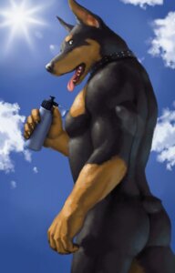 Rating: Questionable Score: 0 Tags: 2013 anthro biceps black_body black_fur bottle butt canid canine canis cloud collar container detailed_background dobermann domestic_dog e621 fur hi_res lag2011 looking_at_viewer looking_back male mammal muscular muscular_anthro muscular_male nude outside pecs pinscher sky solo sun tongue User: bunchy7s