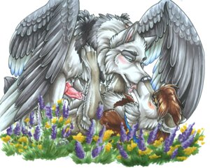 Rating: Explicit Score: 0 Tags: 2010 blush canine canine_penis cum female feral feral_on_feral kissing knot male nude on_back penis rule34 sex straight wielder wings wolf User: bunchy7s