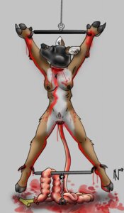 Rating: Explicit Score: 0 Tags: 2008 anthro asphyxiation bdsm blindfold blood blood_from_ass blood_in_ass blood_splatter bodily_fluids bondage bound breasts death deer digital_media_(artwork) disembowelment dombrus e621 erotic_asphyxiation female genitals gimp_mask gore gore_focus grey_background guts hi_res hooves intestines mammal mask nipples organs restraints sensory_deprivation simple_background slit_throat solo spread_legs spreader_bar spreading submissive submissive_female vulva User: bunchy7s