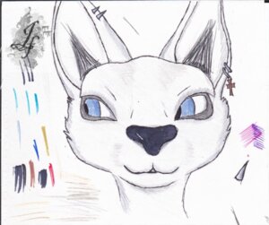 Rating: Safe Score: 0 Tags: blue_eyes e621 ear_piercing female grandfathered_content graphite_(artwork) headshot_portrait jacora marker_(artwork) mixed_media pen_(artwork) piercing portrait simple_background solo traditional_media_(artwork) unknown_species white_background User: bunchy7s