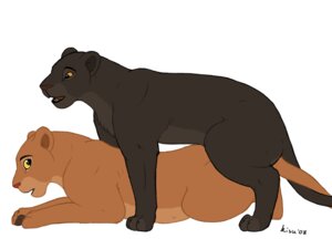 Rating: Explicit Score: 0 Tags: 4:3 black_body black_fur blue_eyes digitigrade disney duo e621 felid female female_penetrated feral feral_on_feral from_behind_position fur interspecies kisu kisu_(character) lion looking_back lying male male/female male_penetrating male_penetrating_female mammal mounting multicolored_body multicolored_fur nala_(the_lion_king) on_front open_mouth pantherine penetration pink_nose quadruped sex shadow side_view simple_background tail tan_body tan_fur the_lion_king two_tone_body two_tone_fur white_background yellow_sclera User: bunchy7s