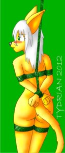 Rating: Explicit Score: 0 Tags: 2012 anthro bdsm blush bondage bound butt domestic_cat e621 felid feline felis female mammal nori_(character) nude rope solo submissive submissive_female tail tydrian User: bunchy7s Rating: Explicit Score: 0 Tags: 2012 anthro bdsm blush bondage bound butt domestic_cat e621 felid feline felis female mammal nori_(character) nude rope solo submissive submissive_female tail tydrian User: bunchy7s