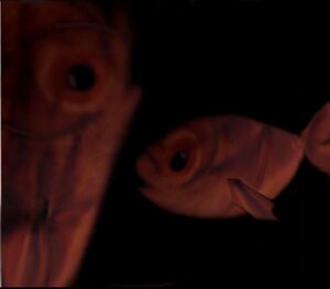 Rating: Safe Score: 0 Tags: ambiguous_gender aquatic black_background body_horror corycat duo e621 feral fish simple_background what whispering User: bunchy7s