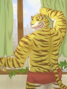Rating: Questionable Score: 0 Tags: 3:4 briefs butt clothing e621 eyes_closed felid happy male mammal meimei_kia muscular muscular_male open_mouth pantherine plant rear_view solo teeth tiger underwear window きあ User: bunchy7s