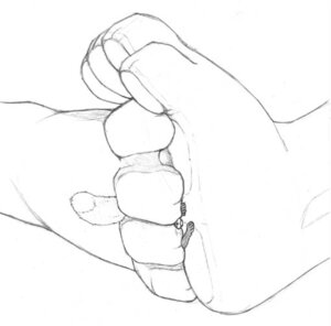 Rating: Questionable Score: 0 Tags: 4_toes ambiguous_gender anthro between_feet between_paws between_toes black_and_white canid canine charon2 crush disembodied_leg duo e621 extreme_size_difference feet foot_fetish foot_focus fox hindpaw line_art mammal monochrome paw_sandwich pawpads paws plantigrade size_difference size_play squish tail toes traditional_media_(artwork) User: bunchy7s
