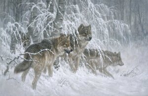 Rating: Safe Score: 0 Tags: ambiguous_gender canid canine canis detailed detailed_background e621 feral fur grey_body grey_fur group ice larry_fanning mammal outside plant quadruped realistic snow tail tree winter wolf wood User: bunchy7s