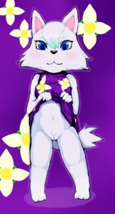Rating: Explicit Score: 0 Tags: animal_crossing anthro arctic_wolf blue_eyes blush bottomless bottomwear canid canine canis clothed clothing clothing_lift e621 female flower fur genitals mammal muinu nintendo plant presenting presenting_vulva simple_background skirt skirt_lift solo tail vulva white_body white_fur whitney_(animal_crossing) wolf User: bunchy7s
