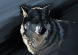 Rating: Safe Score: 0 Tags: abstract_background ambiguous_gender black_nose canid canine canis e621 feral kogawa_kenji mammal realistic simple_background solo wolf yellow_eyes User: bunchy7s