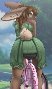 Rating: Safe Score: 0 Tags: anthro bicycle biped bottomwear brown_body brown_hair brown_skin clothing cloud cycling dark_nurse digital_media_(artwork) dress e621 female green_bottomwear green_clothing green_eyes green_topwear hair inner_ear_fluff koko_bun_bun lace lagomorph leporid looking_at_viewer looking_back mammal outside portrait rabbit rear_view sitting sky solo three-quarter_portrait topwear translucent translucent_hair tuft vehicle User: bunchy7s