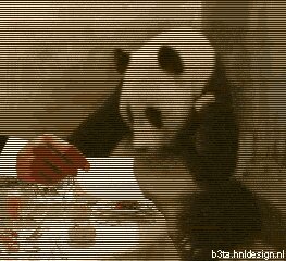 Rating: Safe Score: 0 Tags: ambiguous_gender animated animated_gif b3ta bear dinner disembodied_hand duo e621 eating food giant_panda grandfathered_content humor low_res mammal meal parody real scanlines shocked short_playtime sneeze surprised unknown_artist youtube User: bunchy7s