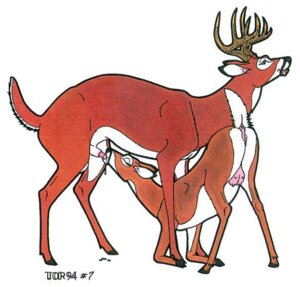 Rating: Explicit Score: 0 Tags: 1990s 1994 20th_century anatomically_correct anatomically_correct_anus anatomically_correct_genitalia anatomically_correct_penis anatomically_correct_pussy animal_anus animal_genitalia animal_penis animal_pussy anus cervine cervine_anus cervine_genitalia cervine_penis cervine_pussy closed_eyes cum deer fellatio female feral fur genitals hooves male oral oral_sex penis pussy raised_tail rule34 sex straight tail teats tim_o'rourke tongue udders year User: bunchy7s