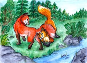 Rating: Explicit Score: 0 Tags: canine canine_pussy female feral foreplay fox fur furry_ears furry_tail male pussy rule34 tail tani_da_real User: bunchy7s