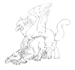 Rating: Explicit Score: 0 Tags: ambiguous_gender avian beak canid canine canis domestic_dog duo e621 feathered_wings feathers feral feral_on_feral genitals gryphon hi_res interspecies line_art male mammal monochrome mythological_avian mythological_creature mythology penis quicksaberflash sex simple_background tail white_background wings wolf User: bunchy7s Rating: Explicit Score: 0 Tags: ambiguous_gender avian beak canid canine canis domestic_dog duo e621 feathered_wings feathers feral feral_on_feral genitals gryphon hi_res interspecies line_art male mammal monochrome mythological_avian mythological_creature mythology penis quicksaberflash sex simple_background tail white_background wings wolf User: bunchy7s