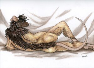 Rating: Questionable Score: 0 Tags: anthro arm_support biped blue_eyes brown_body brown_fur butt e621 feet female fur hindpaw ladyjekyll looking_at_viewer looking_back lying mammal murid murine nude on_side paws portrait rat rear_view rodent solo spread_legs spreading tail three-quarter_portrait traditional_media_(artwork) whiskers User: bunchy7s