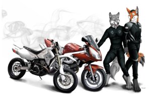 Rating: Safe Score: 0 Tags: anthro canid canine canis clothed clothing digital_media_(artwork) dirt_bike domestic_dog duo e621 fox fully_clothed leather male mammal motorcycle simple_background suit suzuki_drz400 suzuki_motor_corporation suzuki_sv tail truegrave9 vehicle white_background wolf User: bunchy7s