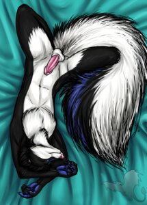 Rating: Explicit Score: 0 Tags: 1boy 2010 anthro arms_above_head balls countershading furry linsey_huish male male_only mr_mefit nude on_back penis rule34 sidian skunk solo spread_legs spreading tail User: bunchy7s
