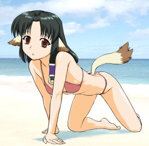Rating: Questionable Score: 0 Tags: all_fours animal_humanoid beach bikini black_hair canid canid_humanoid canine canine_humanoid canis clothed clothing cloud detailed_background dog_humanoid domestic_dog e621 eruru female hair humanoid long_hair looking_at_viewer mammal mammal_humanoid outside ponytail red_eyes sand seaside skimpy sky solo swimwear tail tight_clothing two-piece_swimsuit ueyama_michirou utawarerumono water User: bunchy7s Rating: Questionable Score: 0 Tags: all_fours animal_humanoid beach bikini black_hair canid canid_humanoid canine canine_humanoid canis clothed clothing cloud detailed_background dog_humanoid domestic_dog e621 eruru female hair humanoid long_hair looking_at_viewer mammal mammal_humanoid outside ponytail red_eyes sand seaside skimpy sky solo swimwear tail tight_clothing two-piece_swimsuit ueyama_michirou utawarerumono water User: bunchy7s