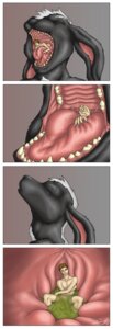 Rating: Questionable Score: 0 Tags: absurd_res anthro digestion duo e621 esophageal_sphincter extreme_size_difference fangs forceswerwolf gaping_mouth hi_res human hybrid inside_stomach internal lagomorph leporid male male/male male_pred male_prey mammal mephitid mouth_shot open_mouth oral_vore organs palate raave rabbit size_difference skunk skunkhase soft_vore stomach swallowing teeth tongue vore User: bunchy7s Rating: Questionable Score: 0 Tags: absurd_res anthro digestion duo e621 esophageal_sphincter extreme_size_difference fangs forceswerwolf gaping_mouth hi_res human hybrid inside_stomach internal lagomorph leporid male male/male male_pred male_prey mammal mephitid mouth_shot open_mouth oral_vore organs palate raave rabbit size_difference skunk skunkhase soft_vore stomach swallowing teeth tongue vore User: bunchy7s