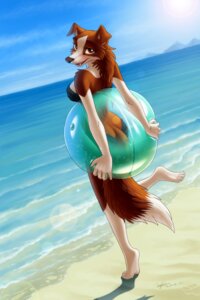 Rating: Safe Score: 0 Tags: 2013 4_toes 5_fingers anthro ball barefoot beach beach_ball bikini biped black_nose border_collie breasts brown_body brown_eyes brown_fur brown_hair butt canid canine canis clothed clothed_anthro clothed_female clothing cloud collie cute_fangs day detailed_background digital_media_(artwork) dipstick_tail domestic_dog dutch_angle e621 eyelashes fangs feet female female_anthro fingers floppy_ears fluffy fluffy_tail folded_ears full-length_portrait fur hair herding_dog hi_res holding_ball holding_object horizon humanoid_hands hyhlion inflatable lens_flare looking_at_viewer looking_back looking_back_at_viewer mammal markings multicolored_body multicolored_fur on_one_leg open_mouth open_smile outside pastoral_dog paws plantigrade pool_toy portrait salsa_(hyhlion) sand sea seaside sheepdog signature skimpy sky smile smiling_at_viewer soles solo standing swimwear tail tail_markings teeth three-quarter_view tight_clothing tiptoes toes two-piece_swimsuit two_tone_body two_tone_fur water white_body white_fur white_tail_tip User: bunchy7s