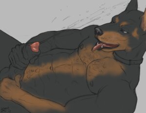 Rating: Explicit Score: 0 Tags: 2012 abs anthro balls biceps biped bodily_fluids body_hair canid canine canis chest_hair collar cum cumshot dobermann domestic_dog e621 ejaculation erection fur genital_fluids genitals holding_penis lying male mammal muscular muscular_anthro muscular_male navel nipples nude open_mouth orgasm pecs penis pinscher sketch solo tongue trogan unfinished User: bunchy7s
