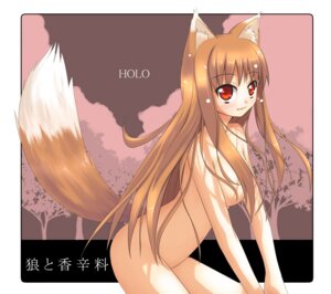 Rating: Questionable Score: 0 Tags: akino_sora animal_humanoid blush breasts brown_hair canid canid_humanoid canine canine_humanoid canis e621 fangs female hair holo_(spice_and_wolf) humanoid mammal mammal_humanoid nude red_eyes solo spice_and_wolf tail teeth wolf wolf_humanoid User: bunchy7s