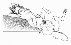 Rating: Explicit Score: 0 Tags: 16:10 2007 anatomically_correct anatomically_correct_genitalia anatomically_correct_vulva animal_genitalia animal_vulva black_and_white breasts breasts_and_teats canid canine canine_genitalia canine_vulva canis e621 female genitals mammal monochrome multi_nipple nipples nude reclining silber sketch solo spread_legs spreading syrini tail taur teats vulva waist_turned widescreen wolf User: bunchy7s
