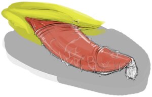 Rating: Explicit Score: 0 Tags: 2011 after_sex ambiguous_form animal_genitalia bodily_fluids close-up conditional_dnp condom crotch_shot cum disembodied_penis dragon e621 erection faceless_character faceless_male filled_condom genital_fluids genital_shot genital_slit genitals male mythological_creature mythological_scalie mythology penis penis_shot scalie sefeiren sexual_barrier_device sketch slither_(slither) solo tapering_penis vaginal_fluids wearing_condom wet User: bunchy7s Rating: Explicit Score: 0 Tags: 2011 after_sex ambiguous_form animal_genitalia bodily_fluids close-up conditional_dnp condom crotch_shot cum disembodied_penis dragon e621 erection faceless_character faceless_male filled_condom genital_fluids genital_shot genital_slit genitals male mythological_creature mythological_scalie mythology penis penis_shot scalie sefeiren sexual_barrier_device sketch slither_(slither) solo tapering_penis vaginal_fluids wearing_condom wet User: bunchy7s