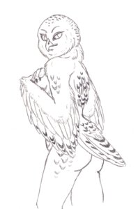 Rating: Questionable Score: 0 Tags: 3_fingers anthro avian battlehog beak bedroom_eyes biped bird breasts butt claws e621 feathers female fingers graphite_(artwork) greyscale half-closed_eyes hand_on_breast horned_owl line_art looking_back monochrome multicolored_body multicolored_feathers narrowed_eyes non-mammal_breasts nude owl portrait rear_view seductive simple_background smile snowy_owl solo standing switchbladekid tail tail_feathers three-quarter_portrait traditional_media_(artwork) true_owl two_tone_body two_tone_feathers white_background winged_arms wings User: bunchy7s