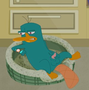 Rating: Explicit Score: 0 Tags: 4_fingers balls barefoot beak clock disney e621 erection feet fingers genitals inside lying male mammal masturbation monotreme moonbeamcat nude on_back penile penile_masturbation penis perry_the_platypus phineas_and_ferb platypus solo tail tapering_penis toony watch wristwatch User: bunchy7s Rating: Explicit Score: 0 Tags: 4_fingers balls barefoot beak clock disney e621 erection feet fingers genitals inside lying male mammal masturbation monotreme moonbeamcat nude on_back penile penile_masturbation penis perry_the_platypus phineas_and_ferb platypus solo tail tapering_penis toony watch wristwatch User: bunchy7s