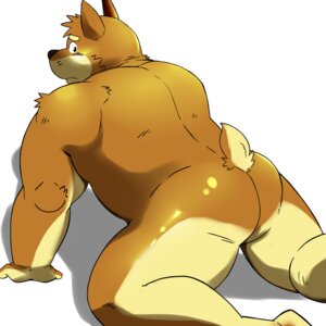Rating: Explicit Score: 0 Tags: 1:1 2013 anthro biceps butt canid canine canis domestic_dog e621 embarrassed fur hi_res kenta_shiba_(character) looking_at_viewer looking_back male mammal muscular muscular_anthro muscular_male nude orange_body orange_fur shiba-kenta short_tail simple_background solo stocky tail white_background User: bunchy7s