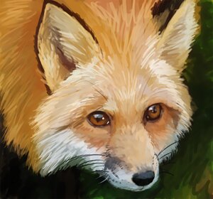 Rating: Safe Score: 0 Tags: 2009 ambiguous_gender black_nose brown_eyes canid canine darksilver detailed detailed_background digital_media_(artwork) digital_painting_(artwork) e621 feral fox fur headshot_portrait inner_ear_fluff low_res mammal orange_body orange_fur painting_(artwork) portrait realistic red_fox solo tan_inner_ear_fluff true_fox tuft whiskers User: bunchy7s