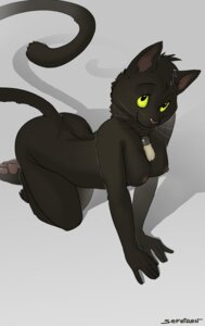 Rating: Questionable Score: 0 Tags: 2013 all_fours anthro biped black_body black_fur breasts conditional_dnp domestic_cat e621 feet felid feline felis female fur green_eyes hi_res hindpaw jewelry looking_at_viewer mammal necklace nipples nude paws sefeiren shadow solo whiskers User: bunchy7s